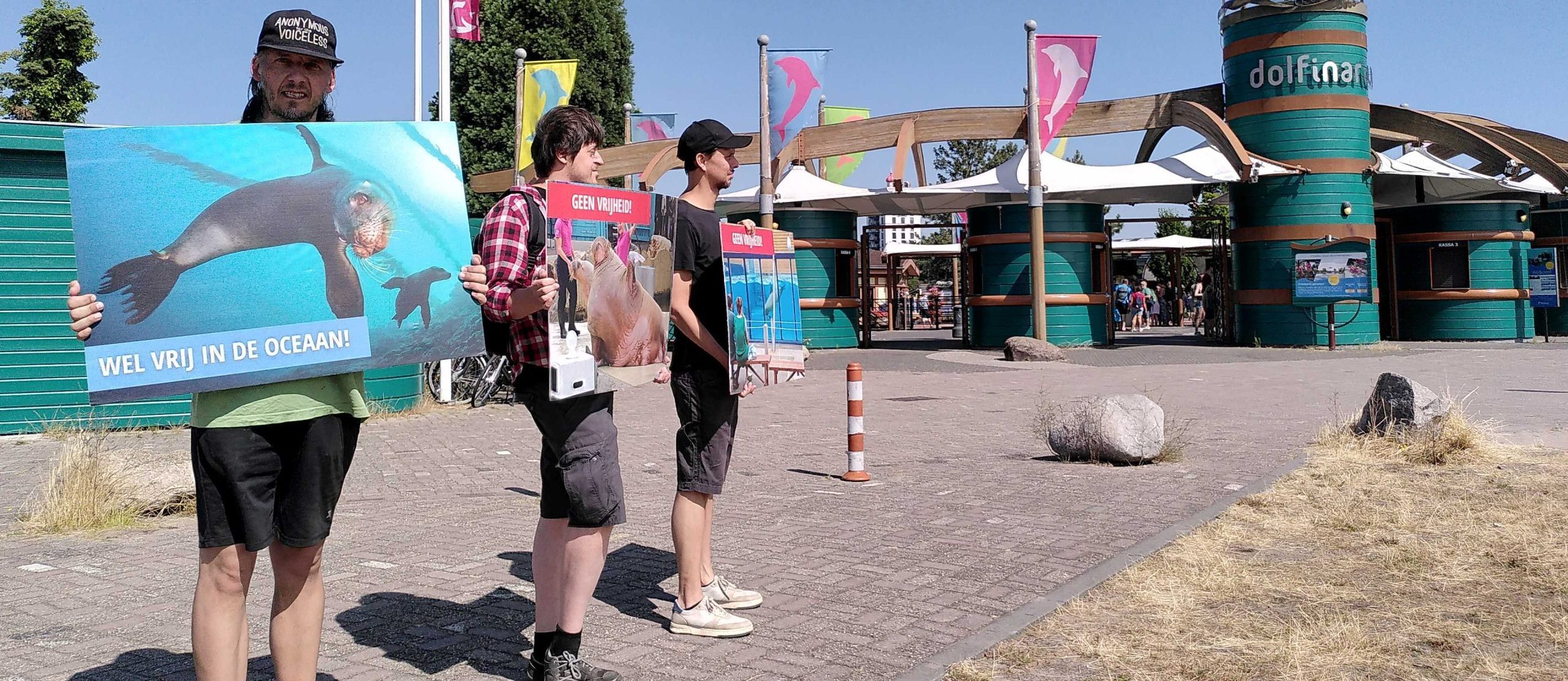Protest bij het Dolfinarium